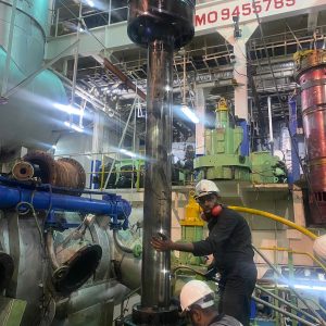Wartsila RT Flex CIAP (38)